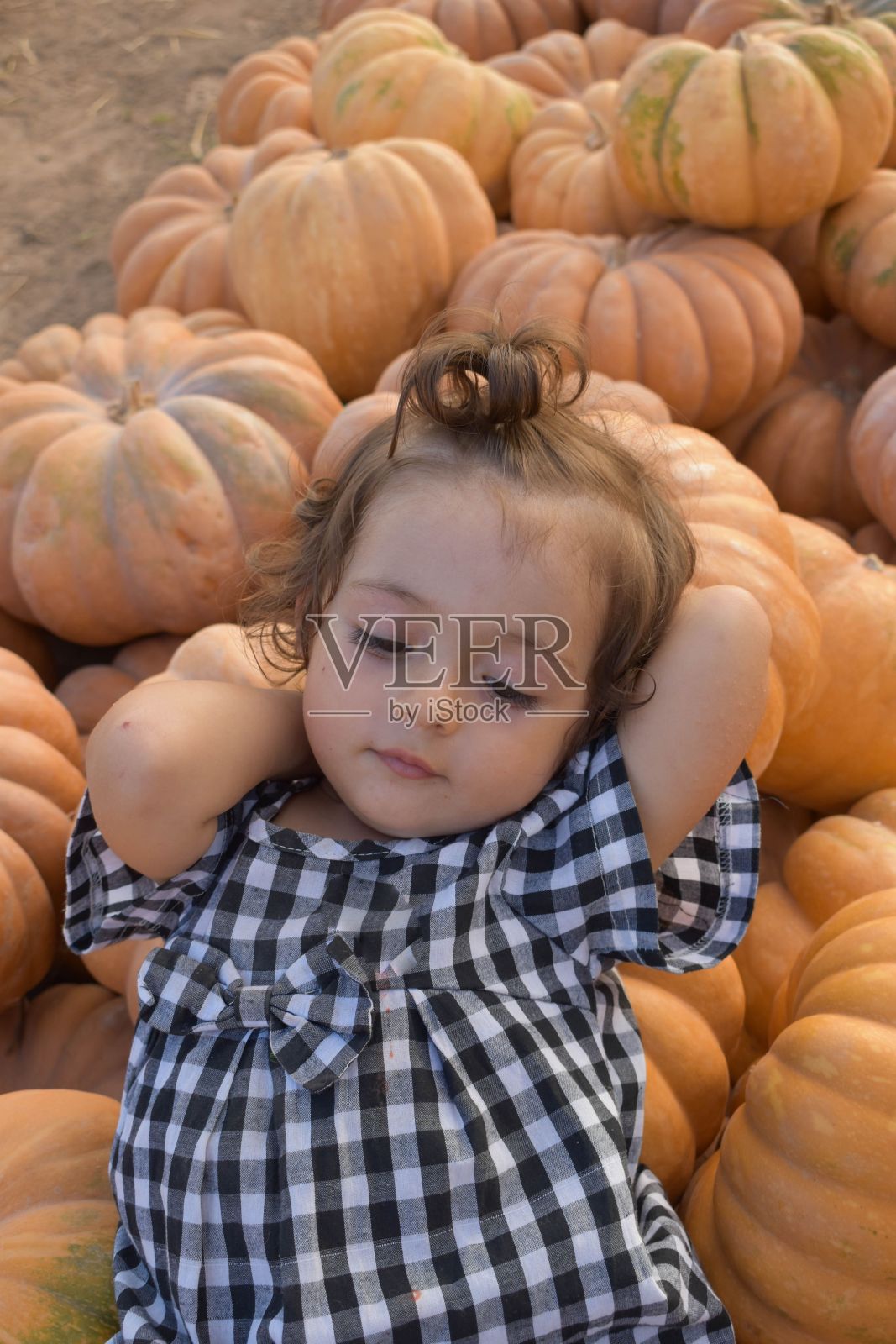 一个小女孩坐在一片地里的南瓜海中照片摄影图片