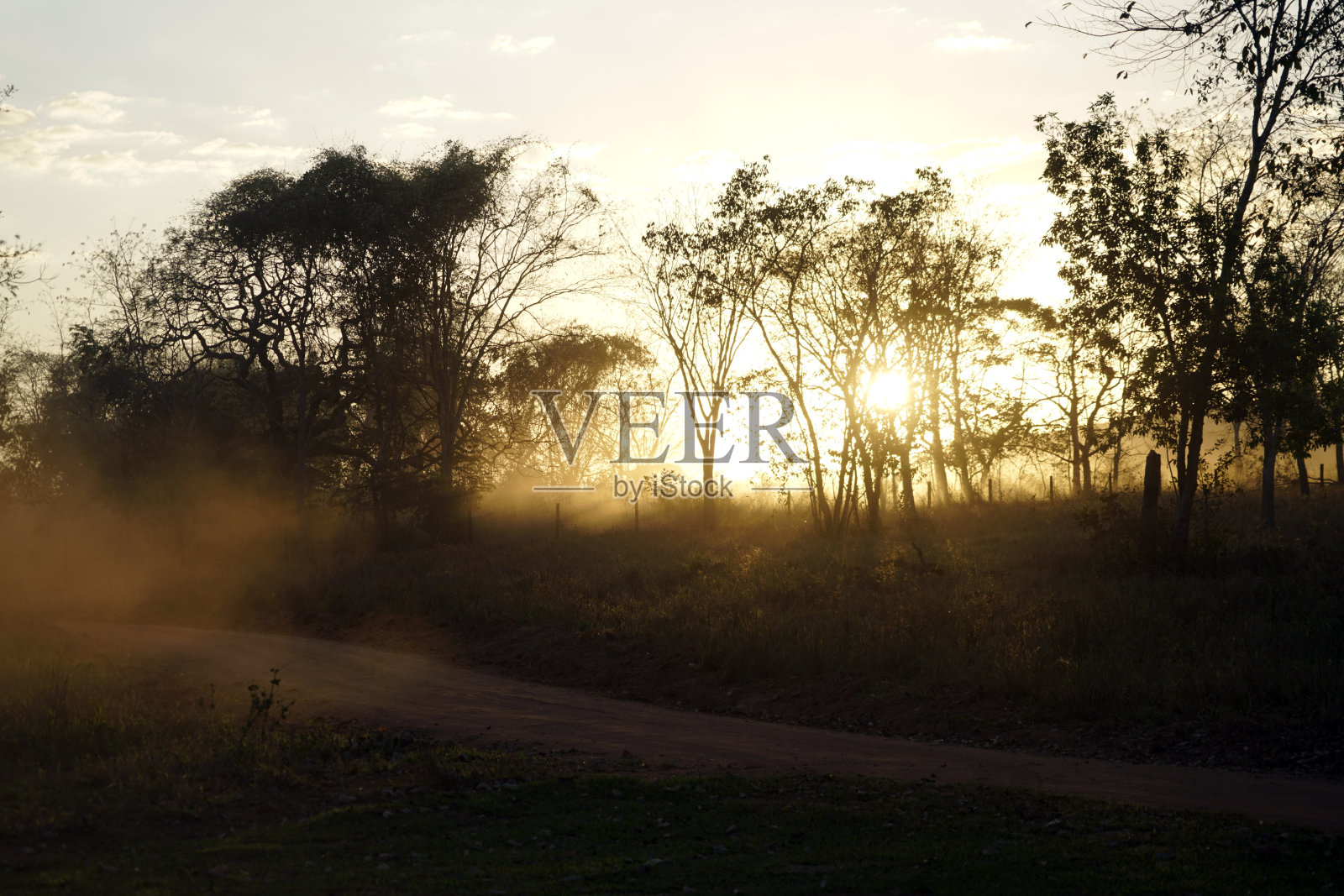 Chapada dos guimar<e:1> -潘塔纳尔-巴西照片摄影图片