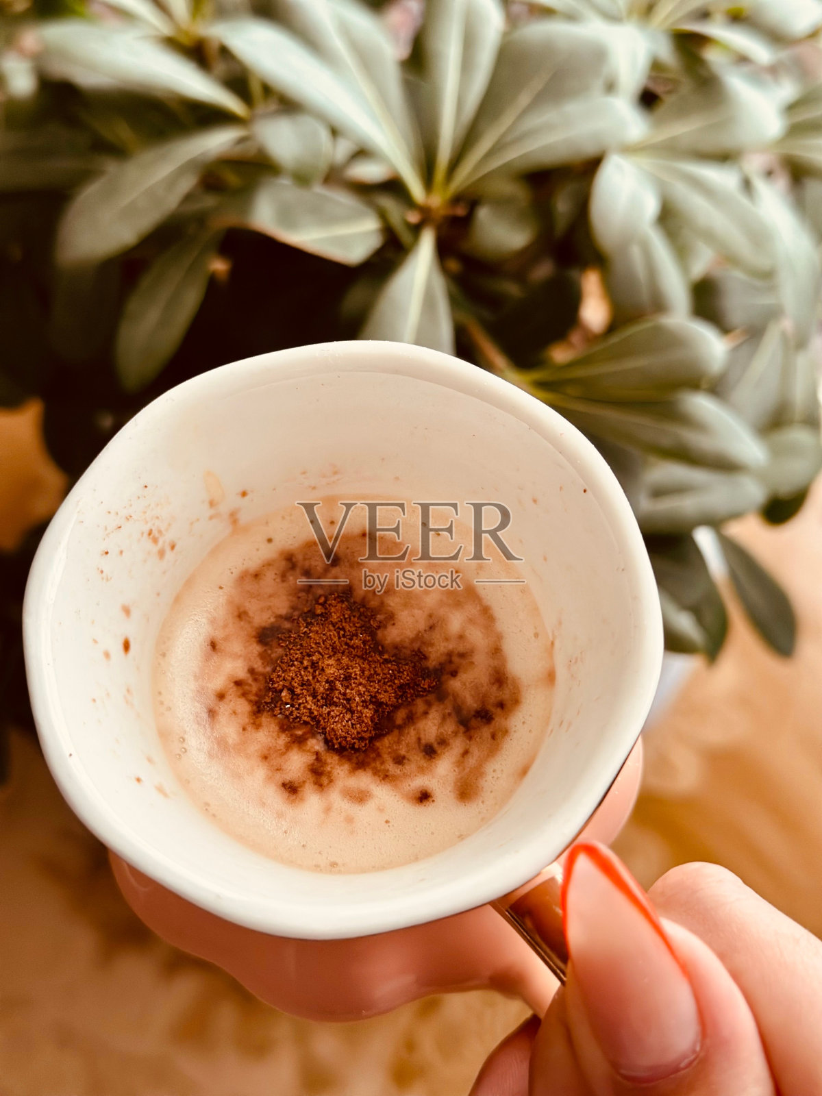 一只手拿着一杯咖啡，旁边是一个花盆，里面有一棵植物照片摄影图片