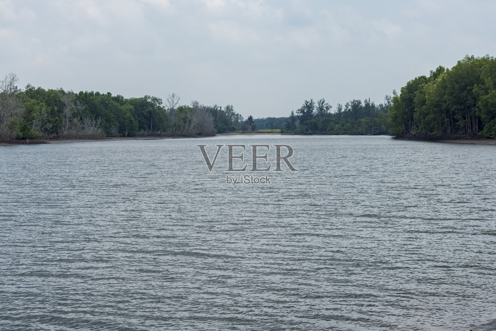 红树林环绕的河流景观，这是通往Muara Badak Panrita Lopi海滩的主要路线。照片摄影图片