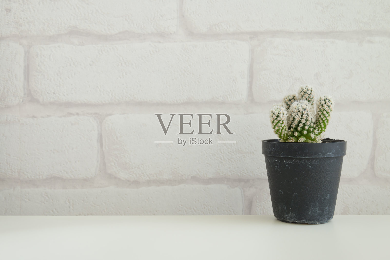 仙人掌花盆在白色的桌子和白色的砖墙纸背景与复制空间。照片摄影图片