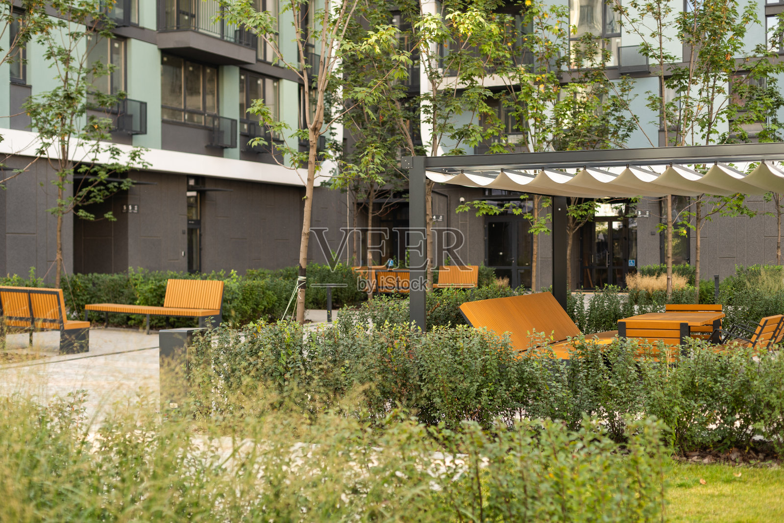 天井。花园。都市、中性、户外的生活空间。外观照片。户外客厅有沙发，舒适的靠垫，抱枕，椅子和茶几。后院有绿色植物。照片摄影图片