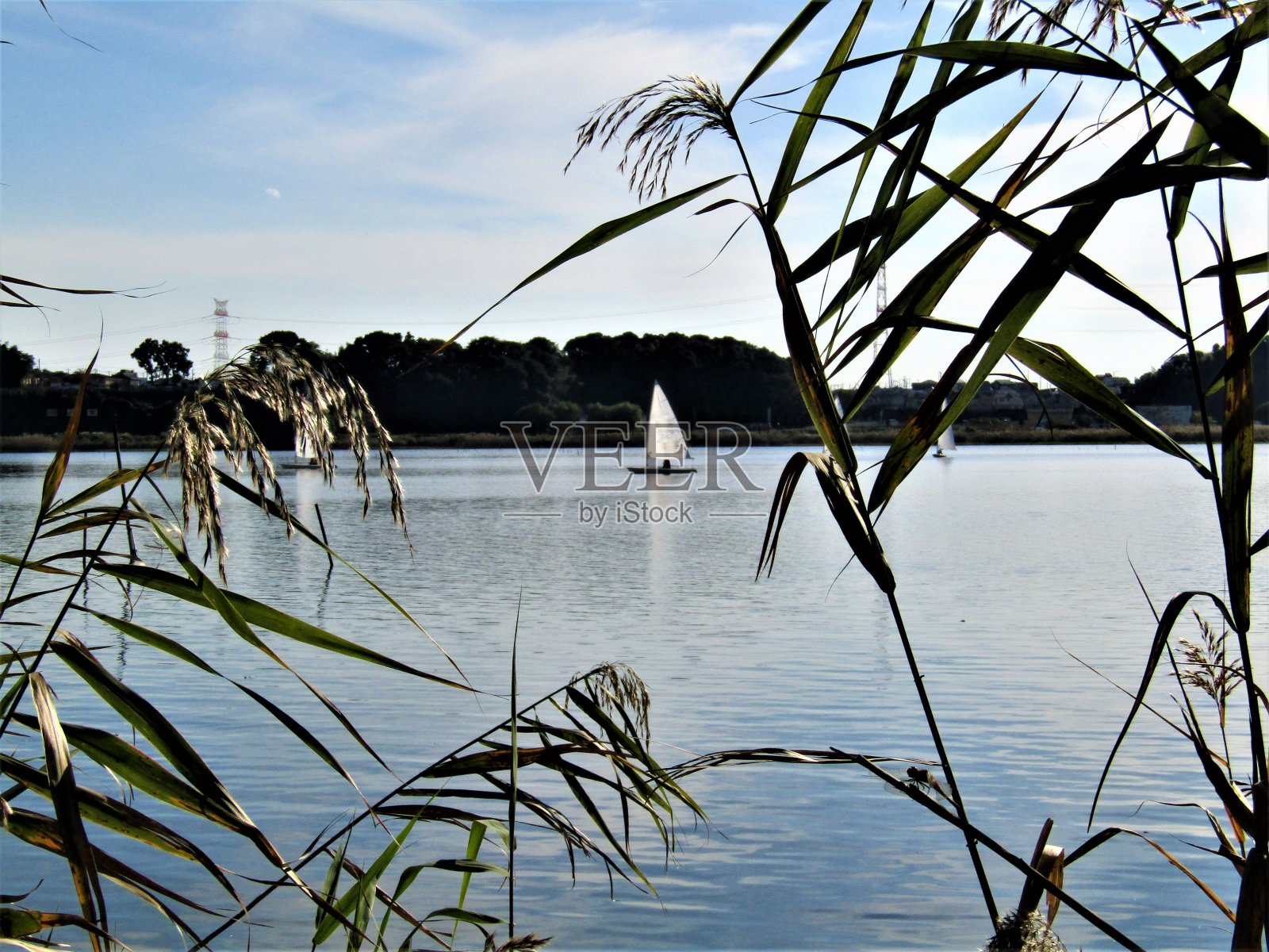 湖上的帆船。照片摄影图片