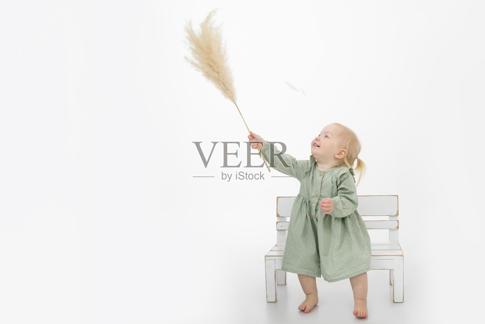 快乐的小女孩光着脚坐在白色的小长凳上，抬头望着，手里拿着一根干潘帕斯草。照片摄影图片