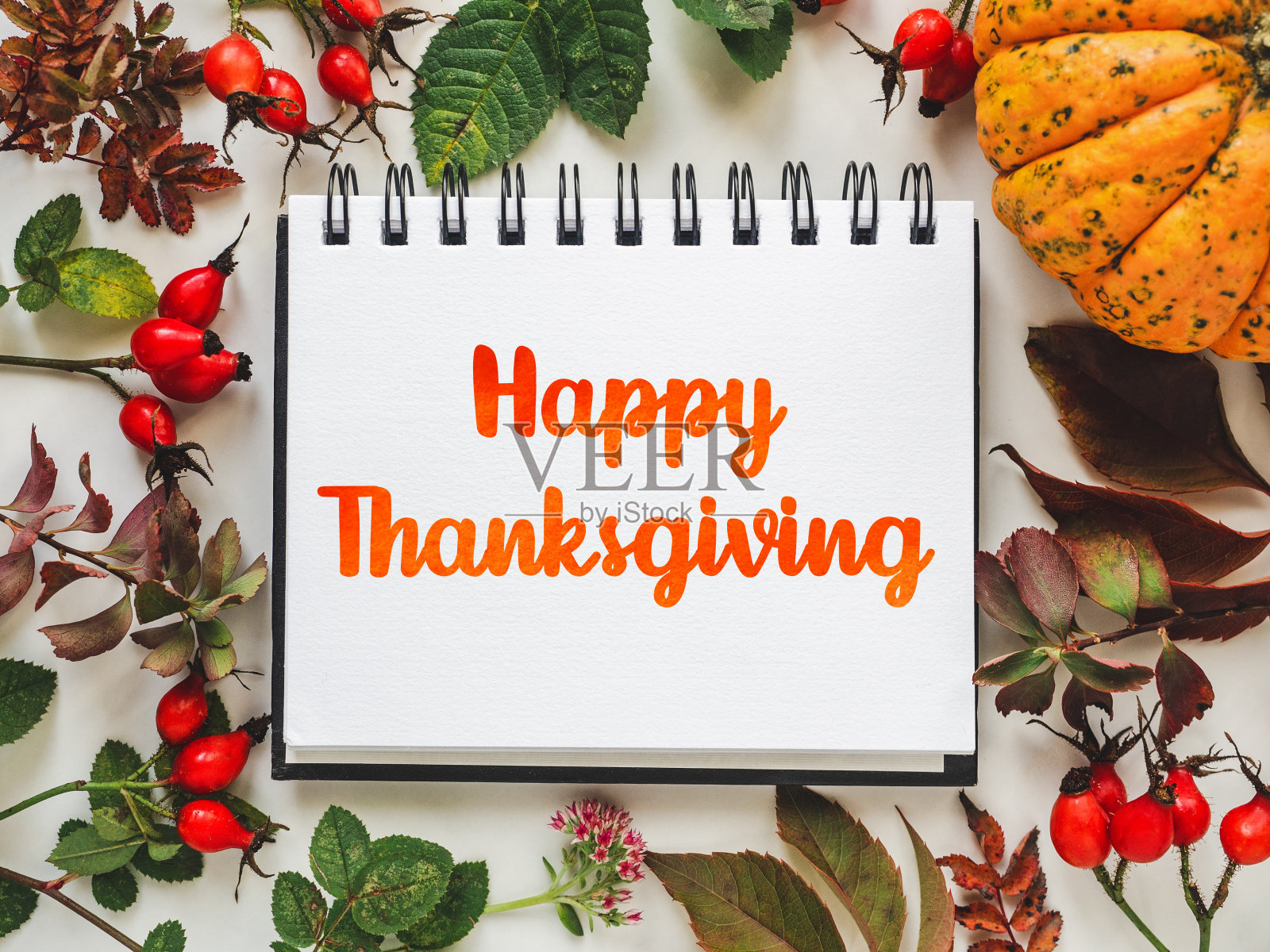 感恩节快乐。明亮的南瓜，树叶和红色的浆果照片摄影图片