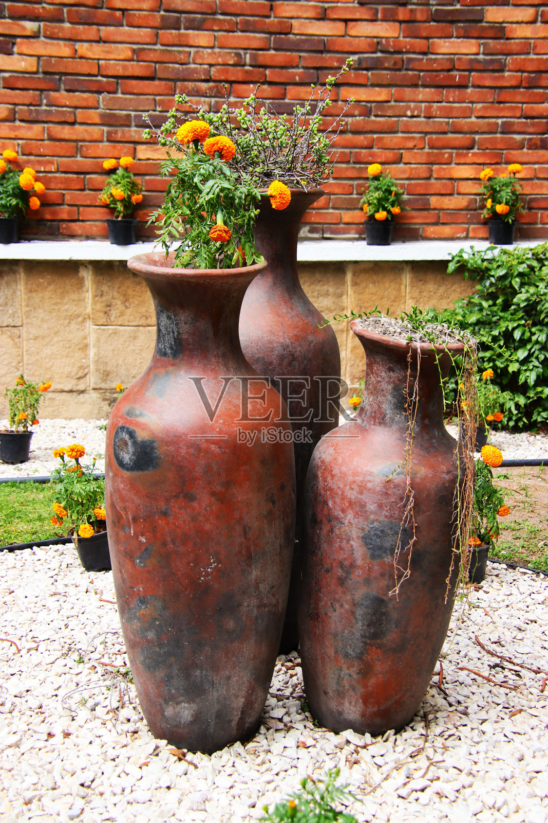 一所学校外的花照片摄影图片