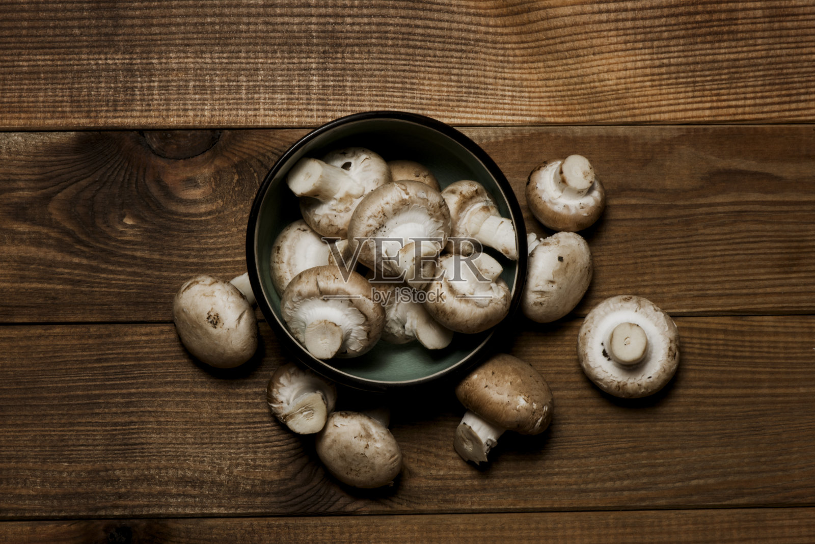 新鲜的白色蘑菇照片摄影图片