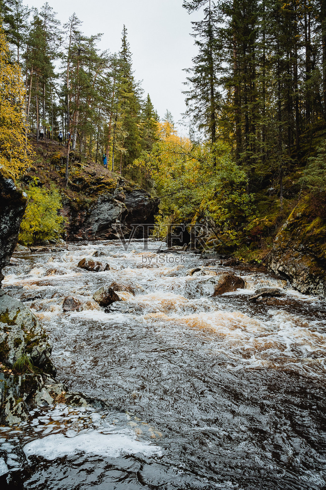 秋天湍急的水流。山间小溪在石缝间流淌。秋日多云的河流。多雨的季节。景观照片摄影图片