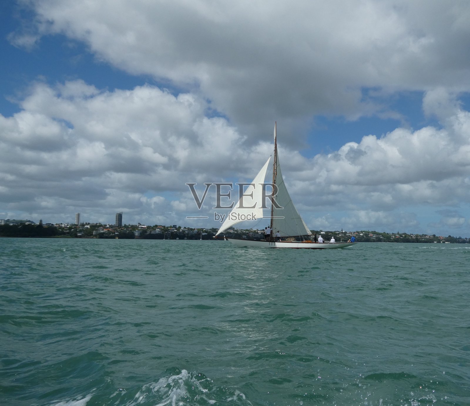 奥克兰港的帆船照片摄影图片