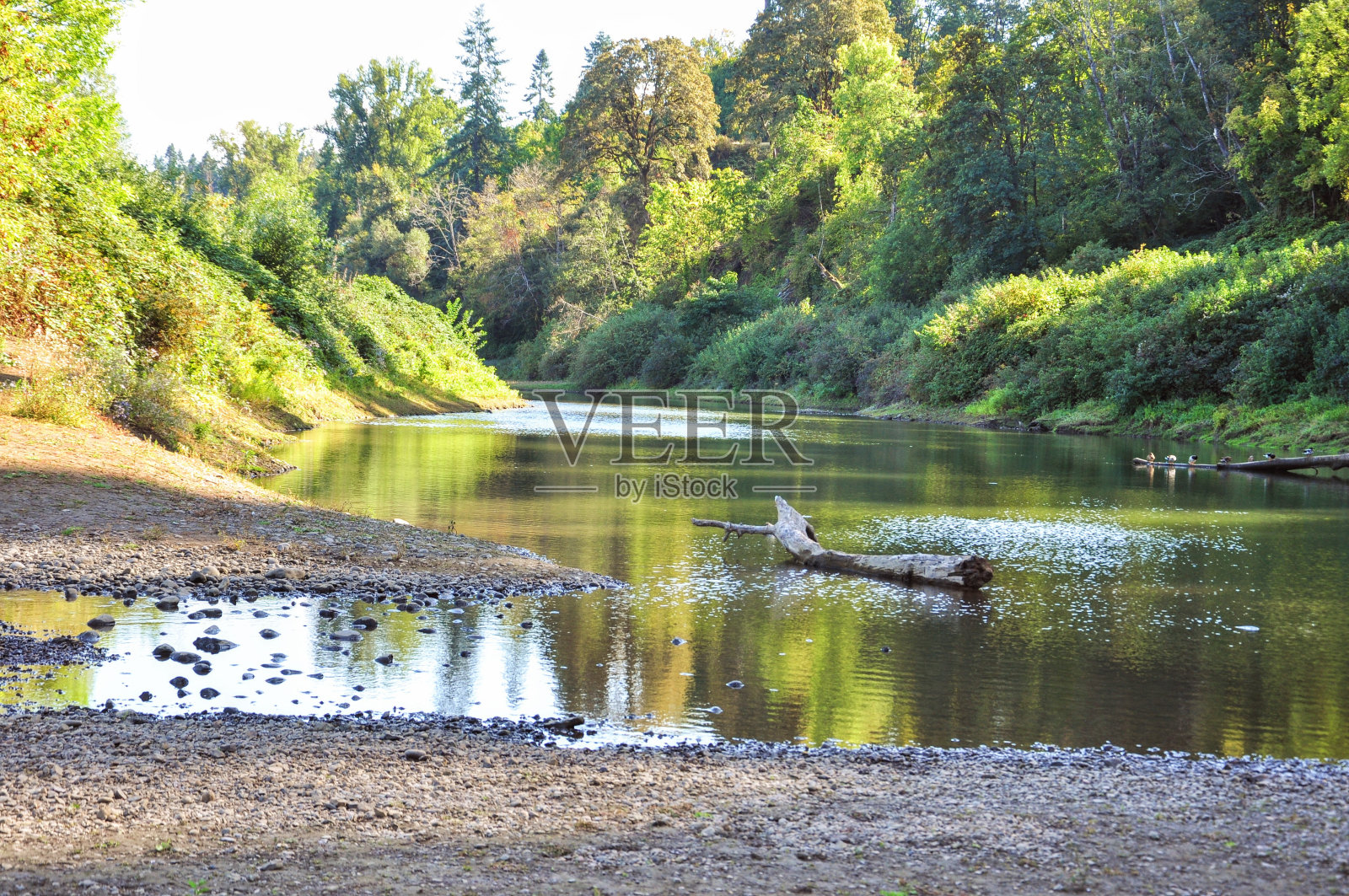 宁静的场景照片摄影图片