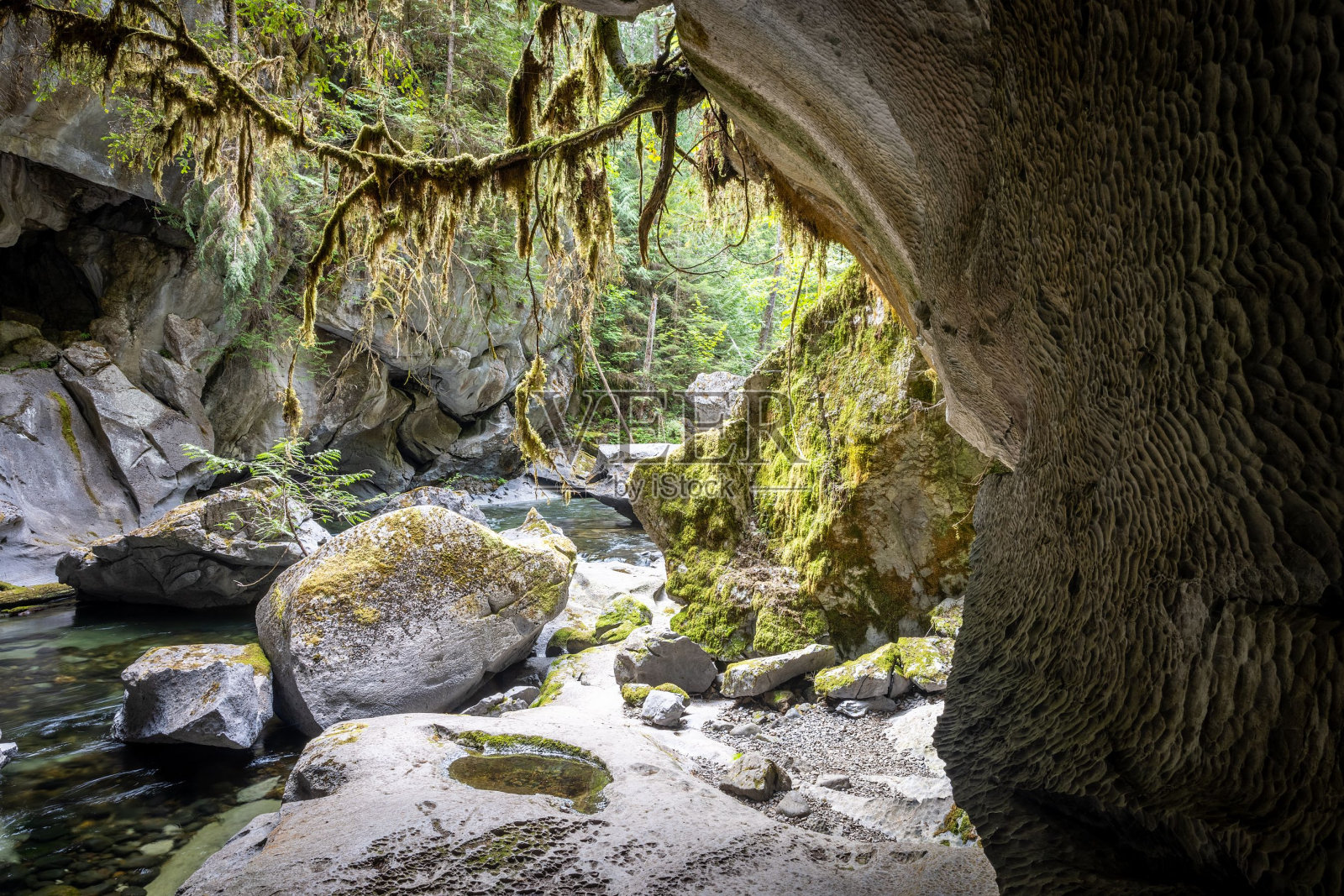 北温哥华岛的小胡森洞穴照片摄影图片