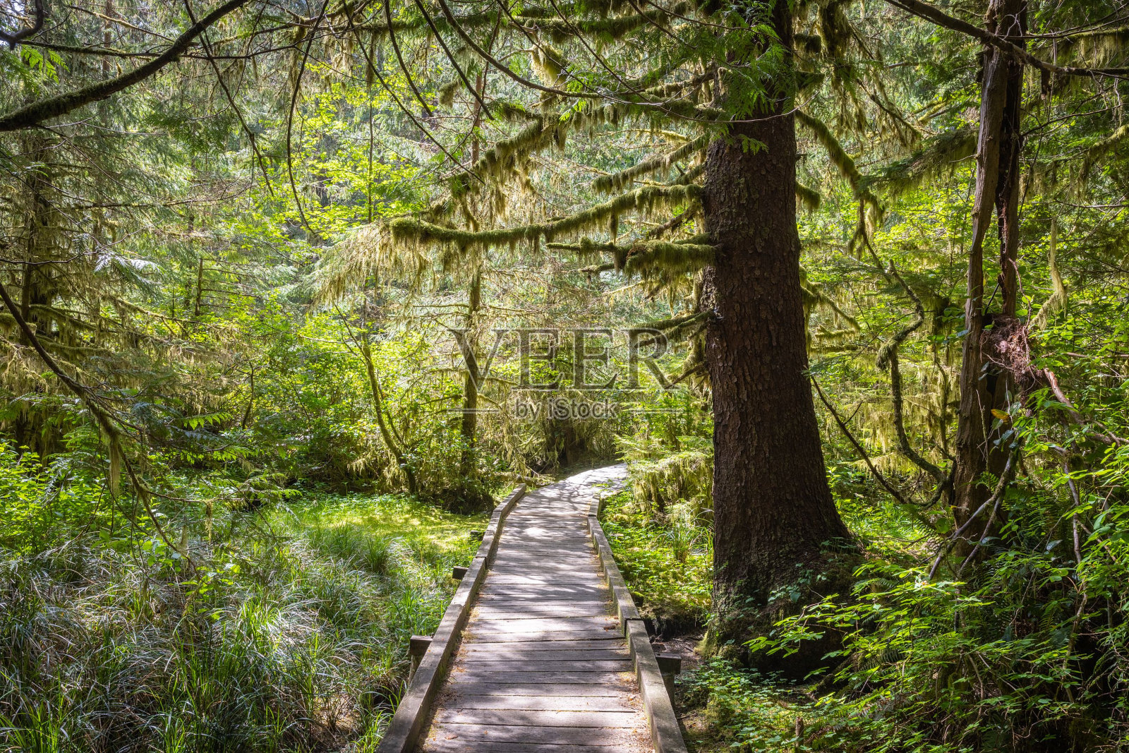 前往圣约瑟夫湾的旅游路线照片摄影图片