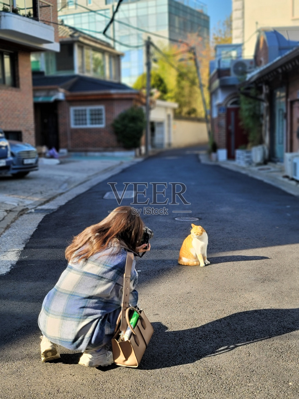 养猫的人照片摄影图片