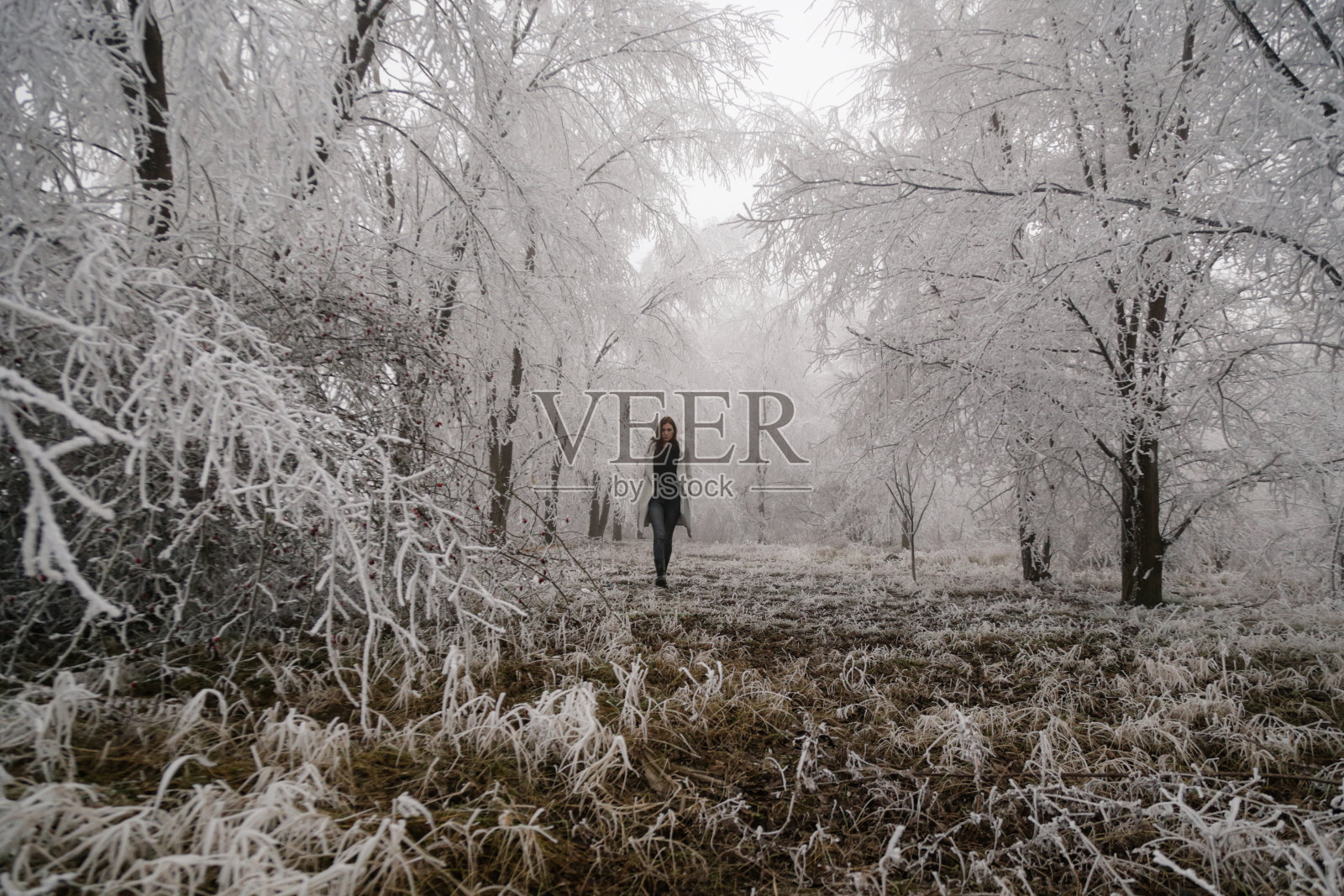 寒冷多雾的一天，穿着白色外套走在雪地森林中的女人照片摄影图片