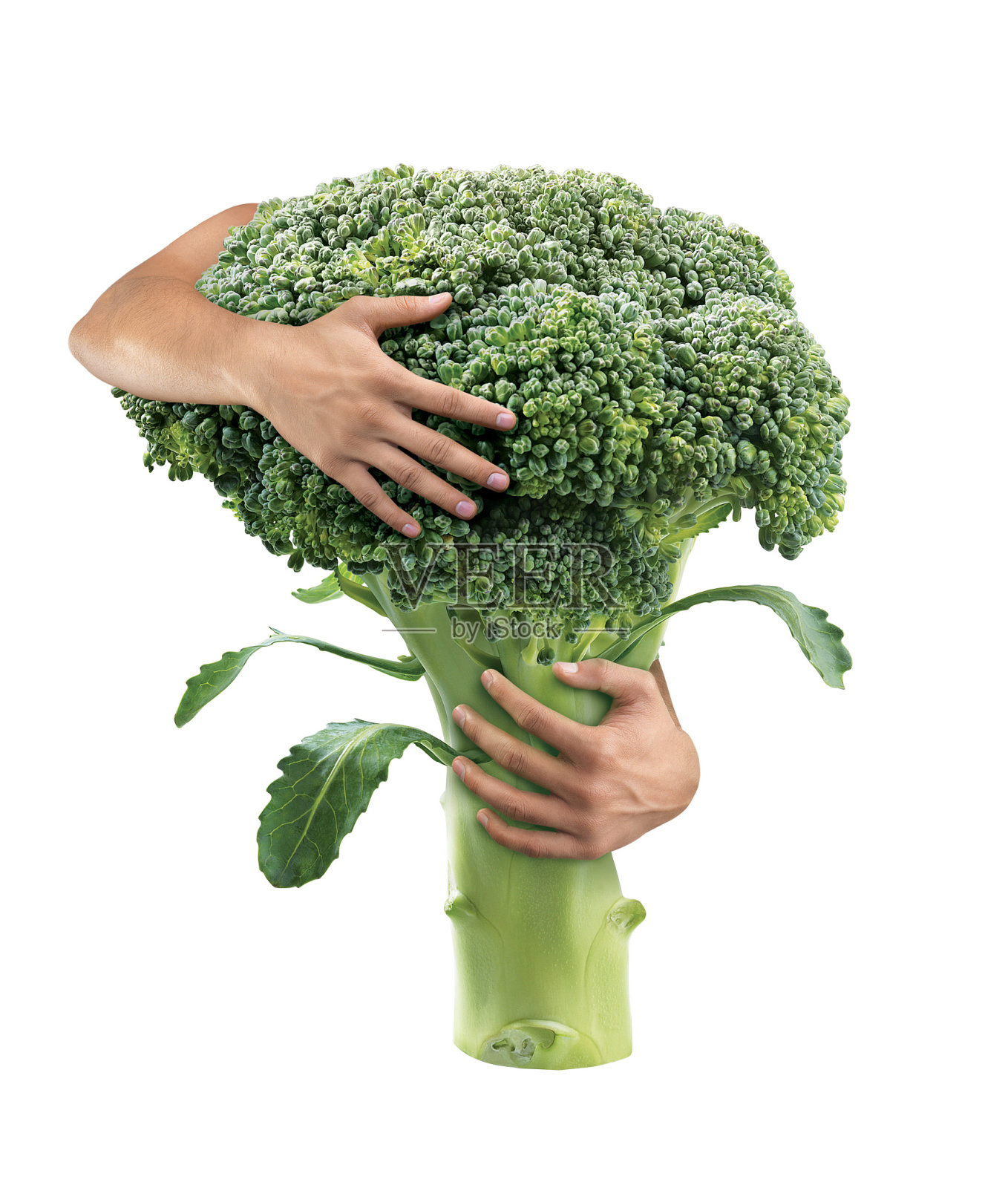 双手拥抱整个花椰菜代表吃和爱花椰菜健康的生活方式，有机花椰菜，拥抱花椰菜。照片摄影图片