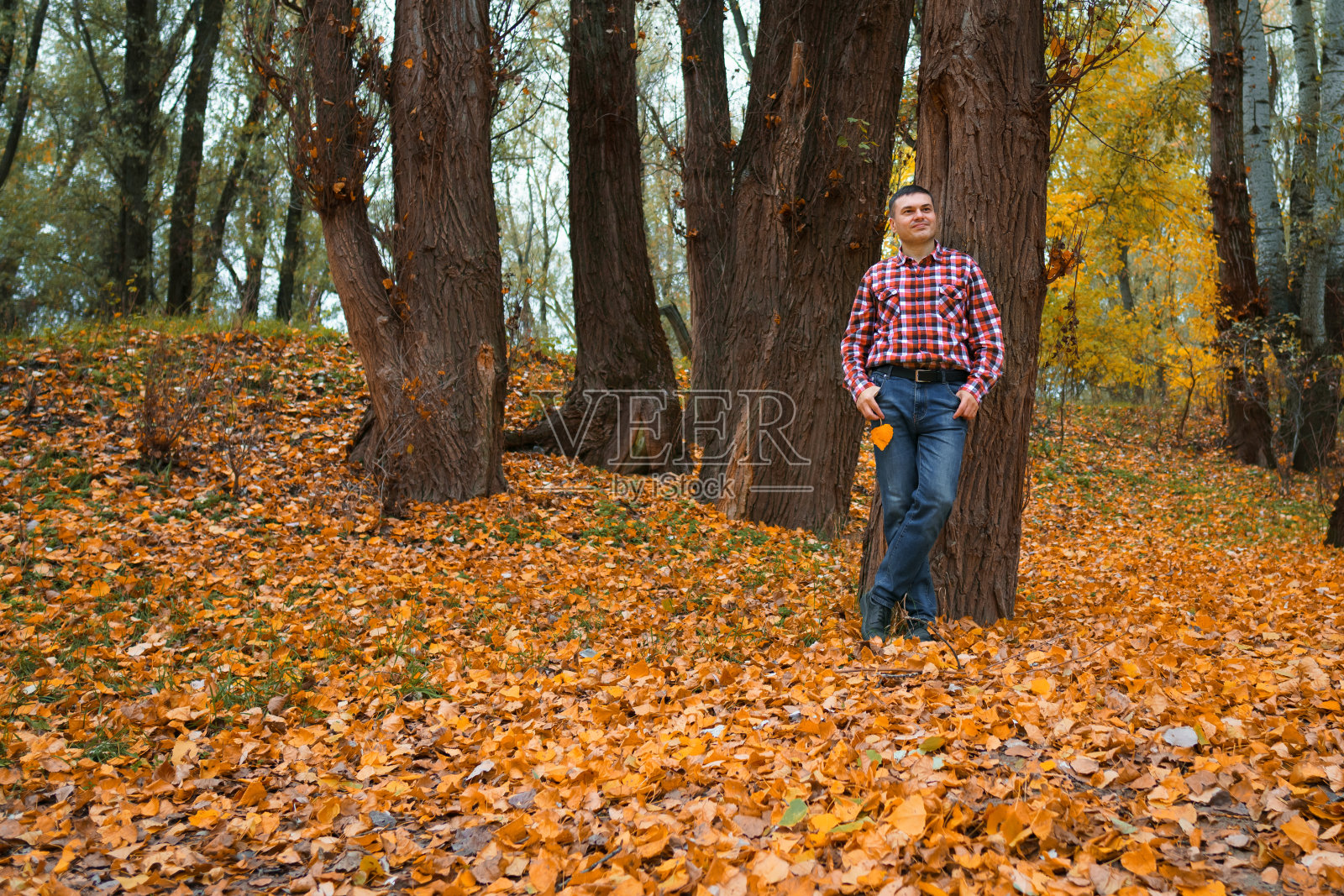 一个人走在河边的空地上欣赏风景，秋天的大自然很美，河水和树叶黄的森林，傍晚的天空多云照片摄影图片