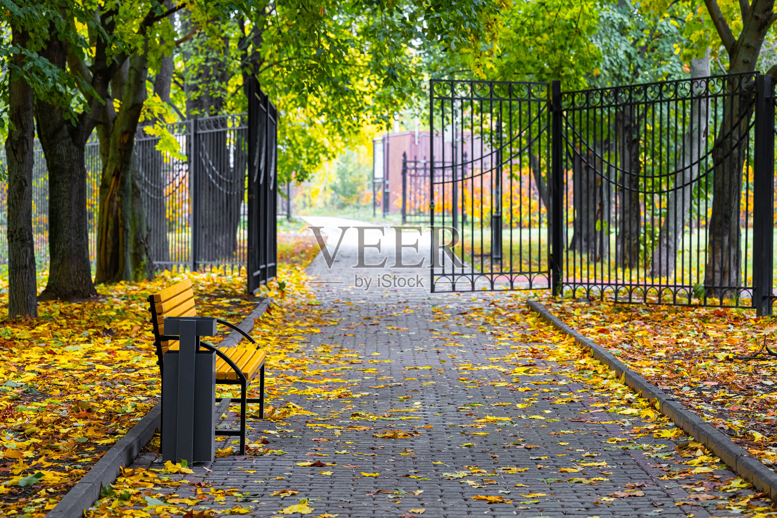 空旷的秋天公园里的空长凳照片摄影图片
