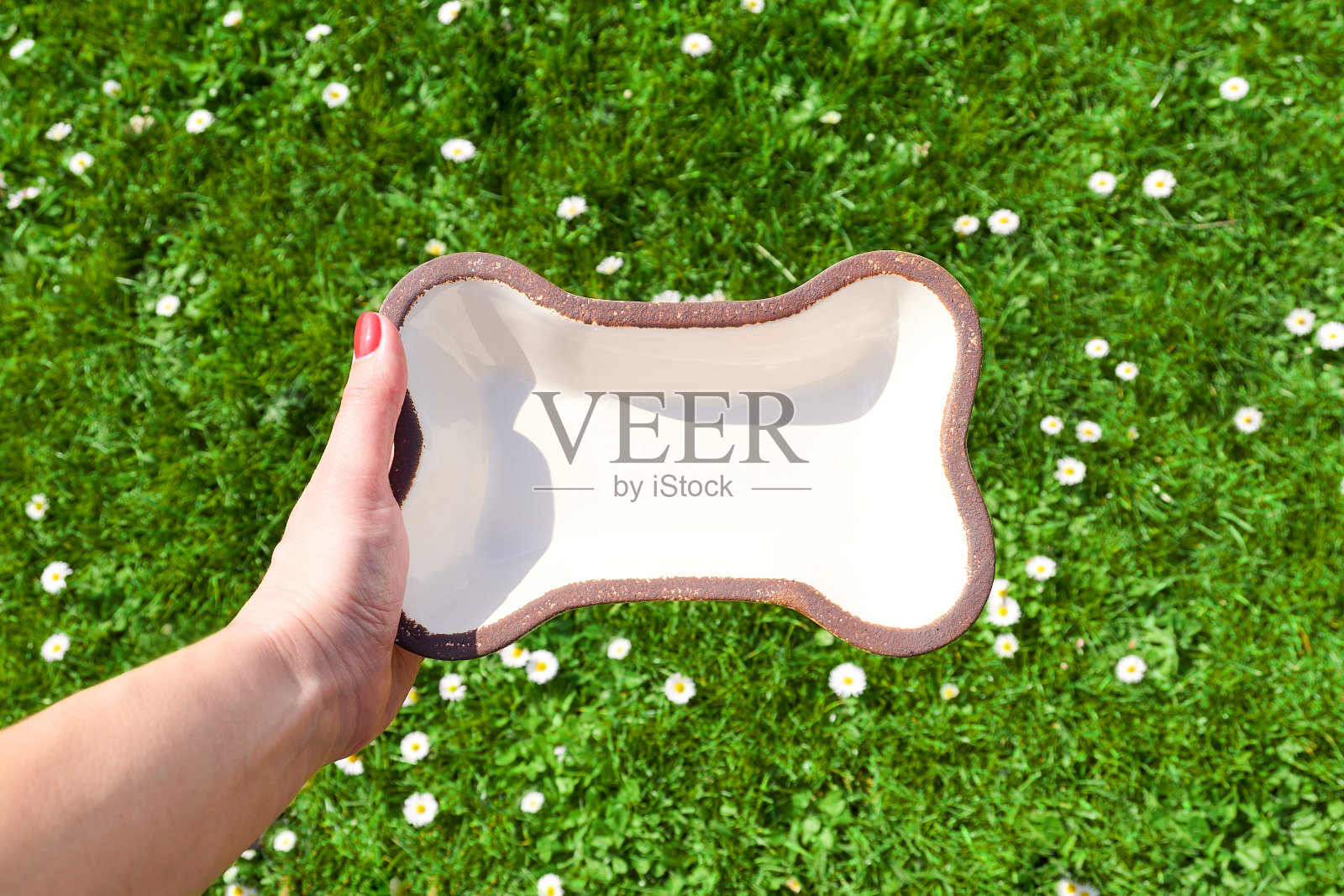 女性手里拿着空的狗碗，背景是天然的绿草照片摄影图片