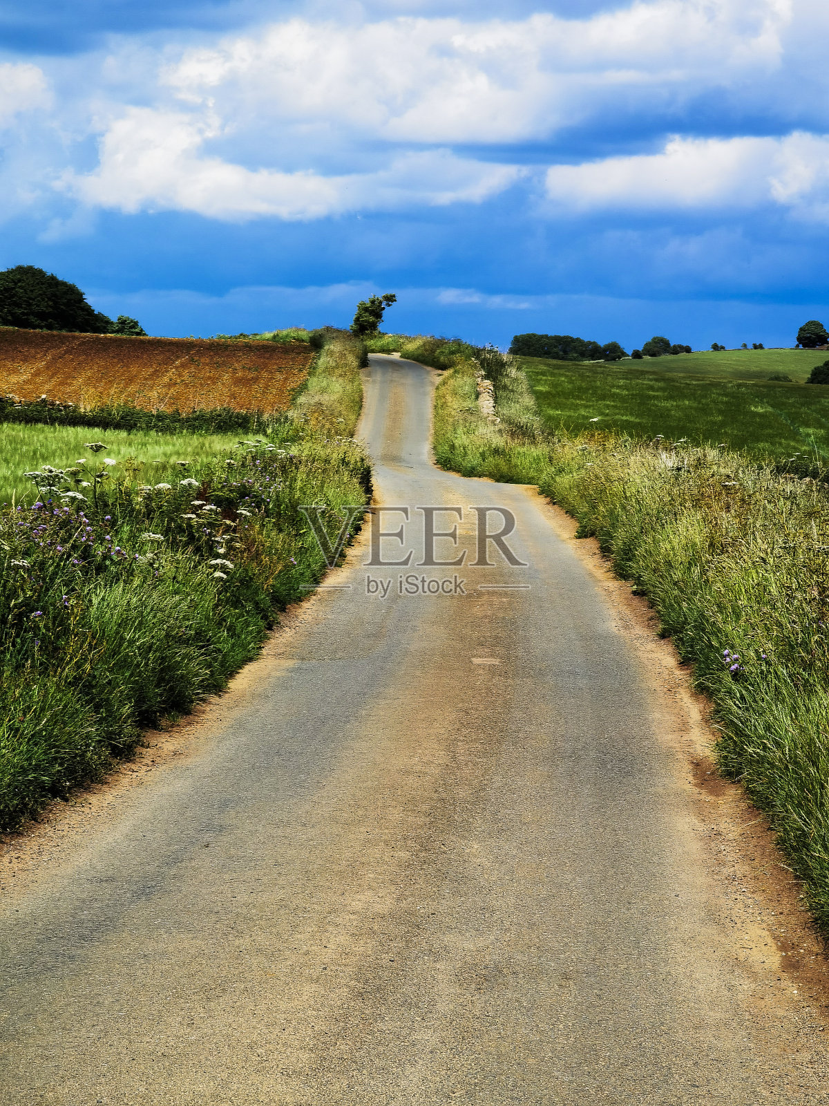 小路乡村科茨沃尔德乡村英国农田照片摄影图片