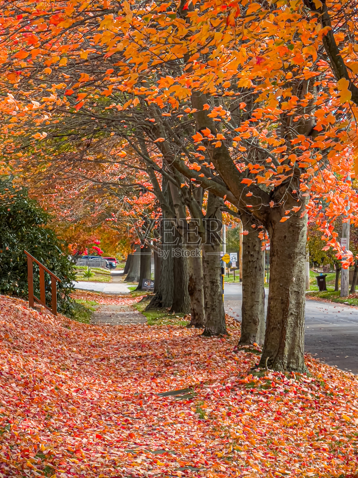 秋天的颜色照片摄影图片