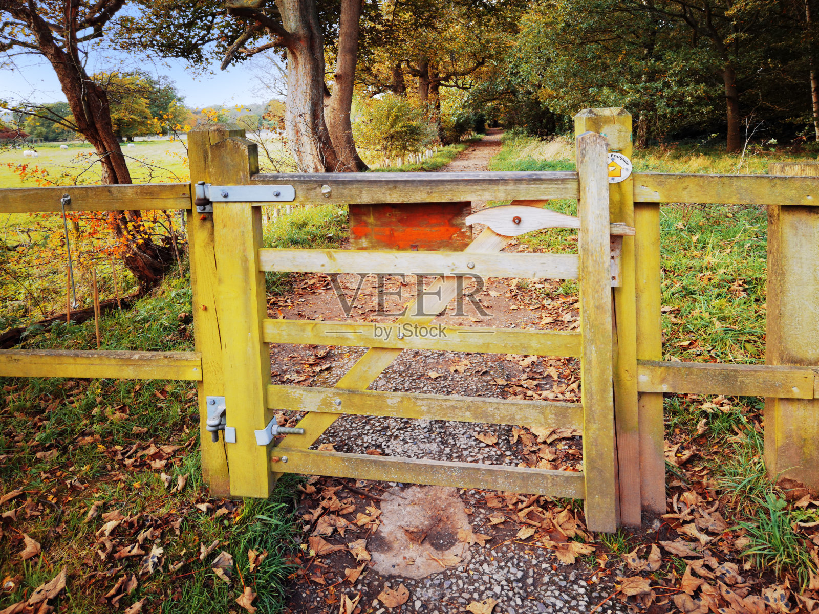 漫步步道，秋日自然，户外景观环境优美照片摄影图片