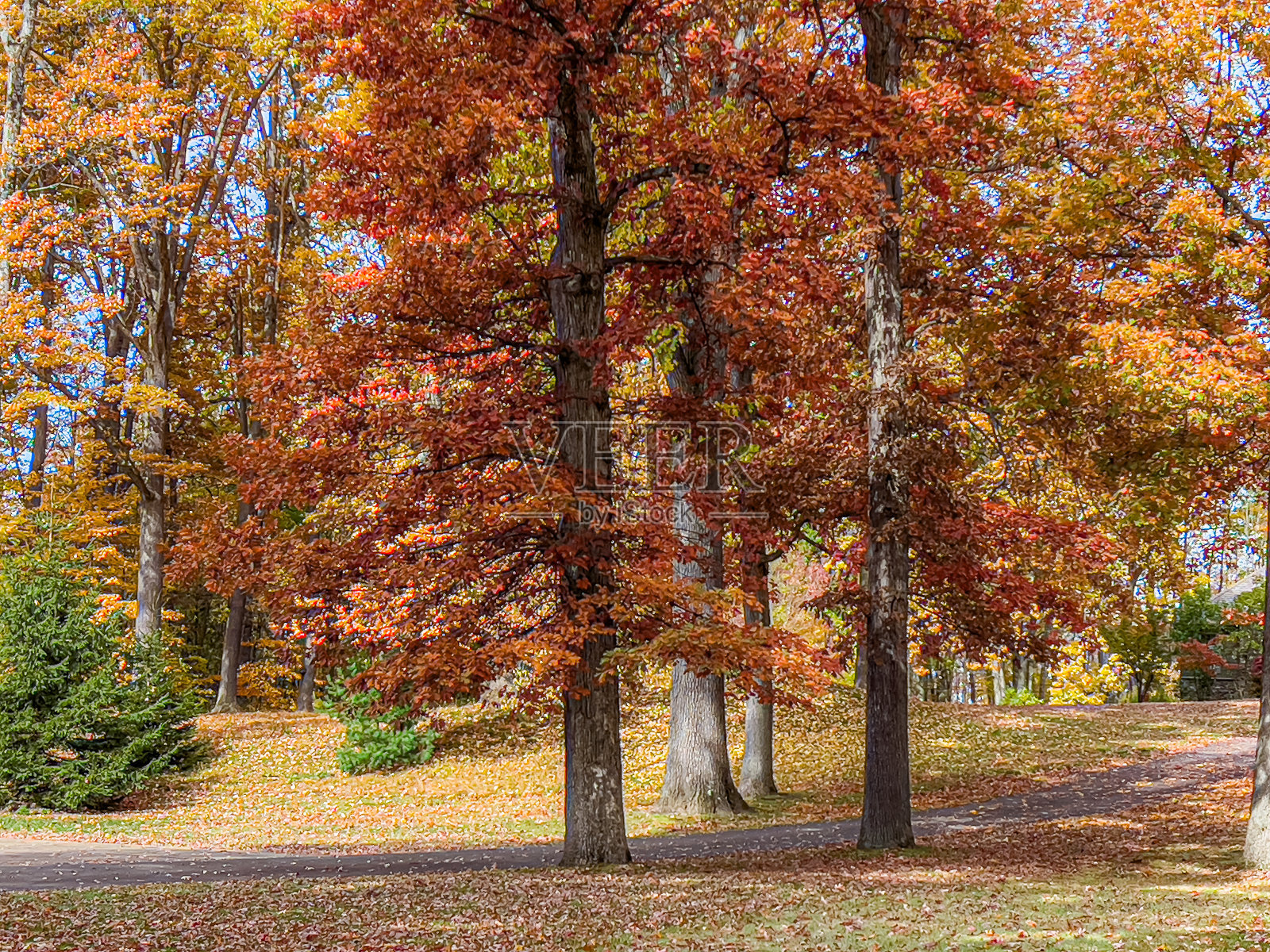 秋天的颜色照片摄影图片