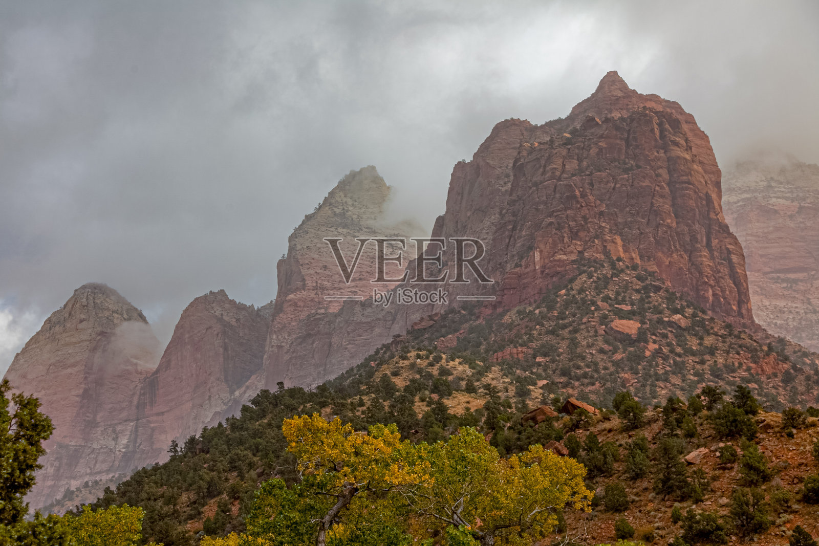 秋天的色彩——锡安国家公园照片摄影图片