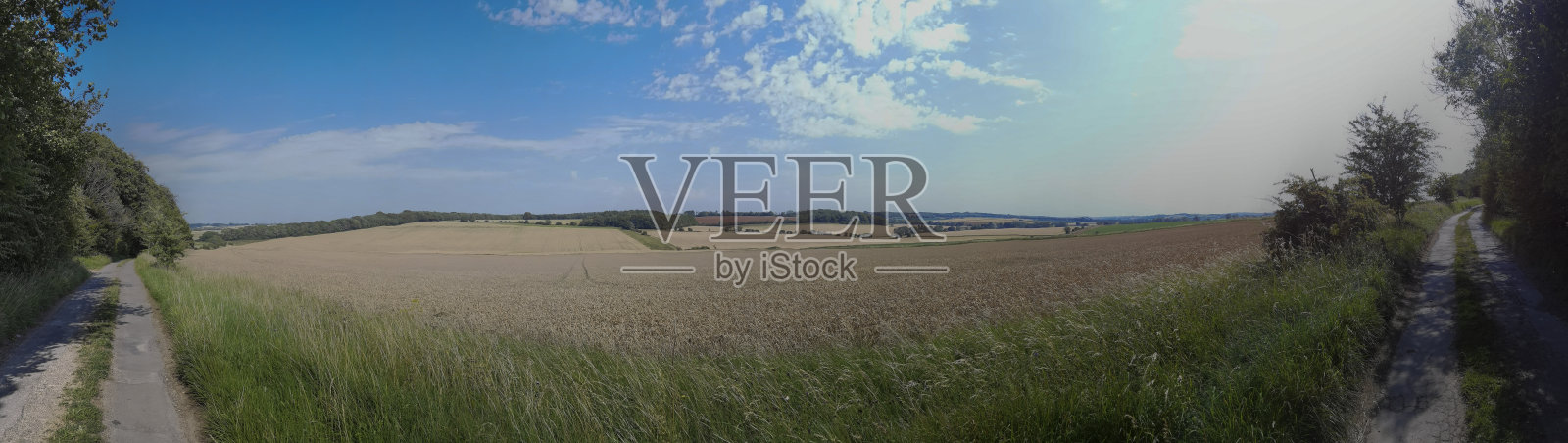 科茨沃尔德英格兰英国树木阳光风景风景一般季节道路小巷乡村照片摄影图片