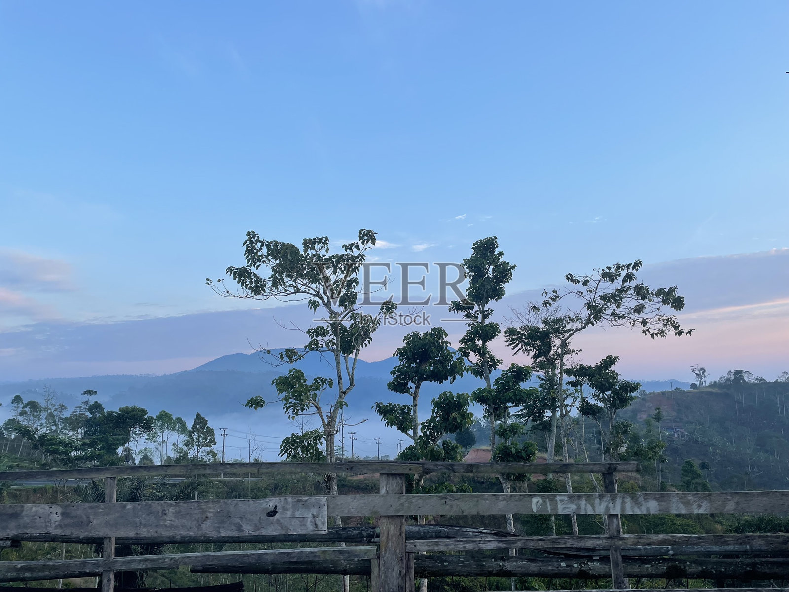 早晨在西灯柱照片摄影图片