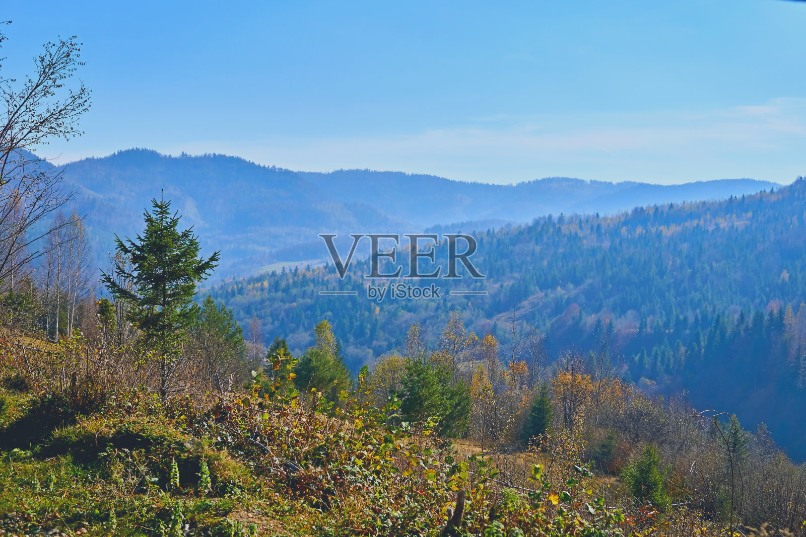 远处的群山，被秋草衬托着蓝色的薄雾照片摄影图片