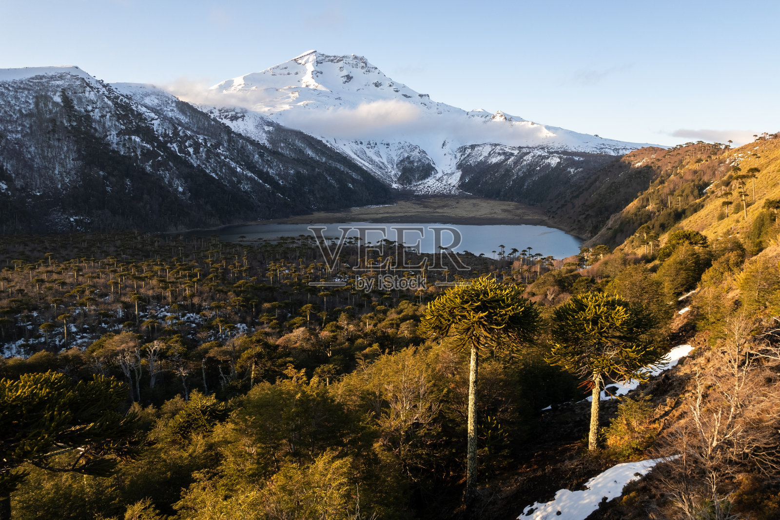 日落时分巴塔哥尼亚火山脚下的湖泊照片摄影图片