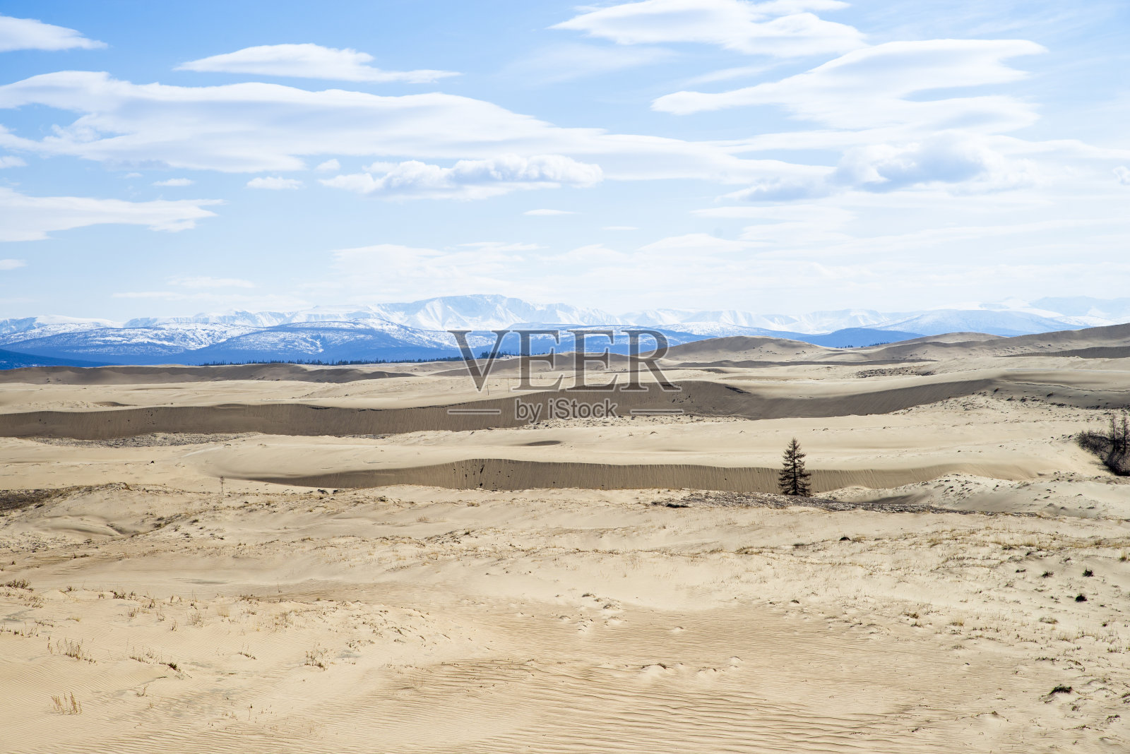 俄罗斯。世界上最北端沙漠的美丽景色。照片摄影图片