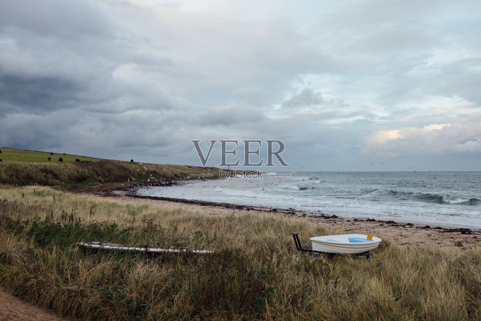 诺森伯兰郡崎岖的海岸线照片摄影图片