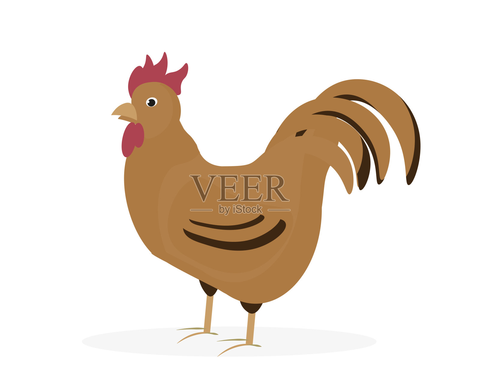 公鸡矢量插图站立。侧视图。插画图片素材