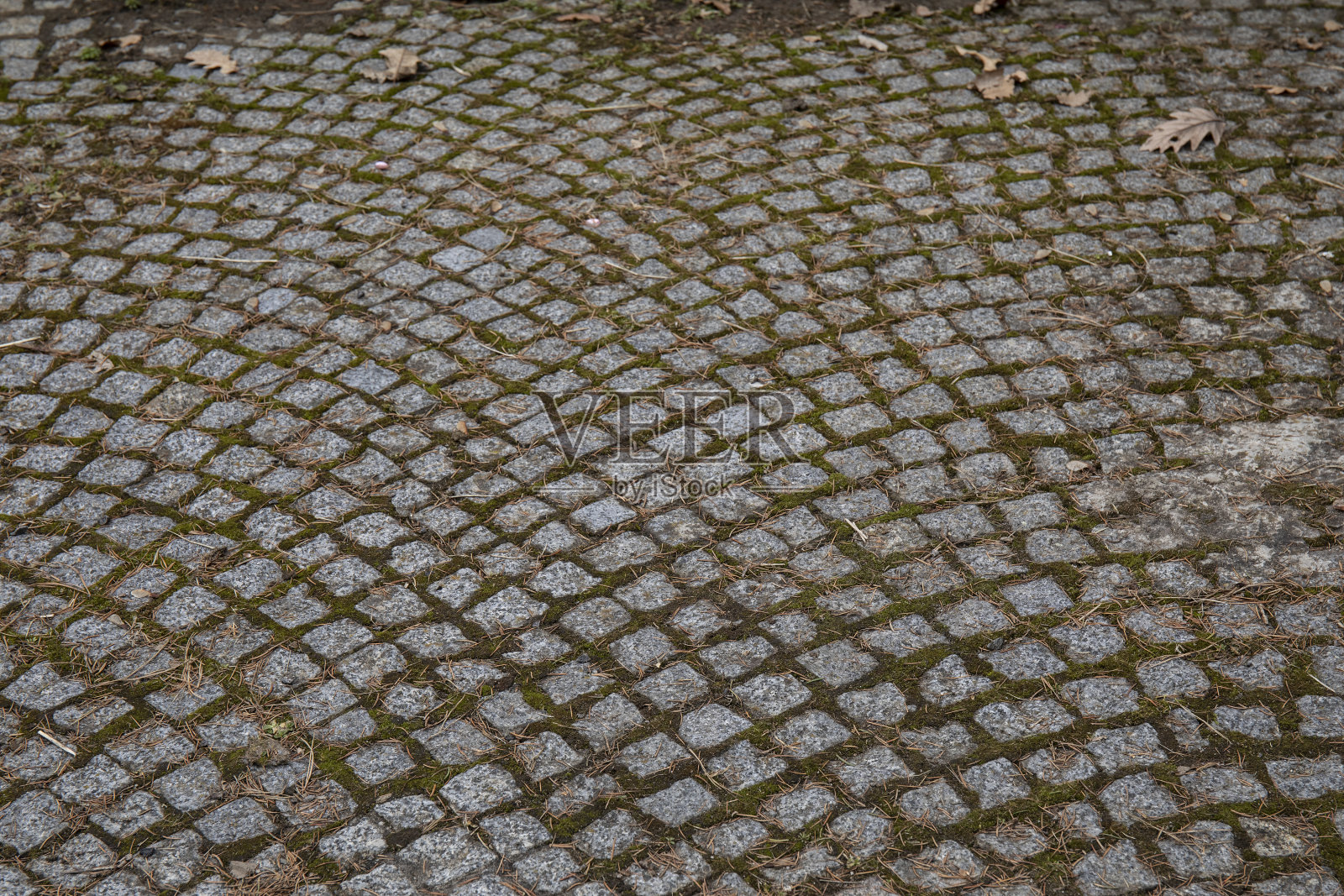 公园里的石板铺路照片摄影图片