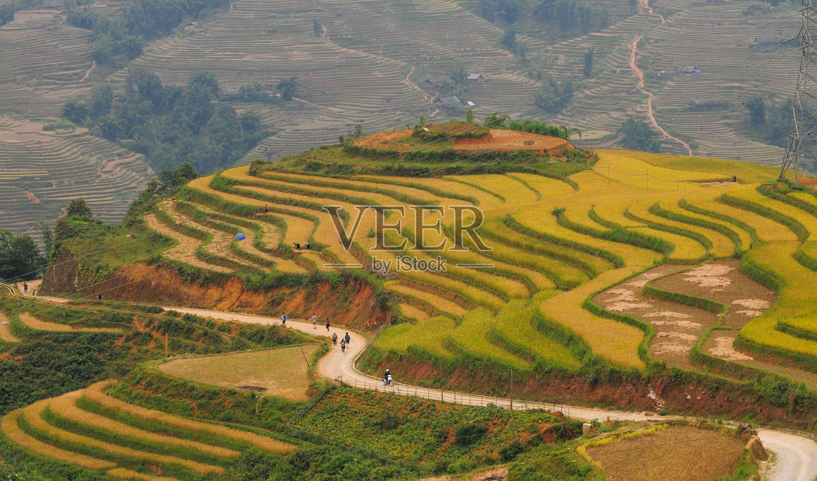越南北部的梯田照片摄影图片