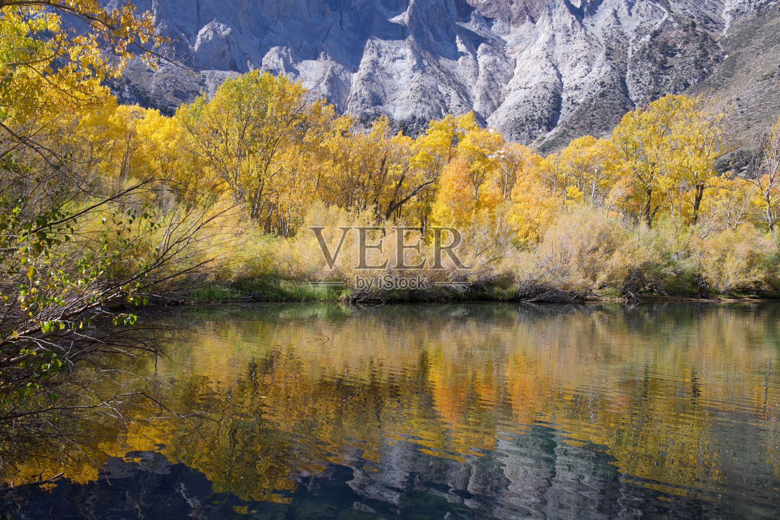 秋天的罪犯湖风景照片摄影图片
