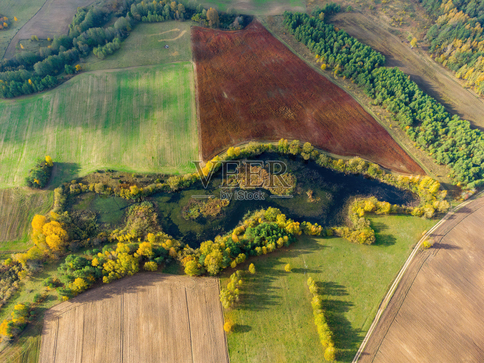 立陶宛森林中的一个湖泊鸟瞰图，野性自然。湖的名字是“Delinis”，欧洲瓦莱纳区。照片摄影图片