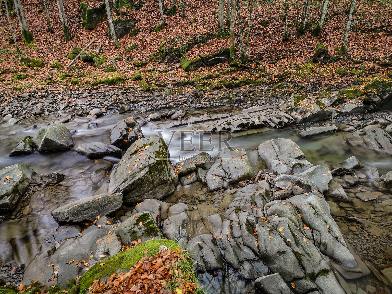 喀尔巴阡山脉秋林中的山涧照片摄影图片