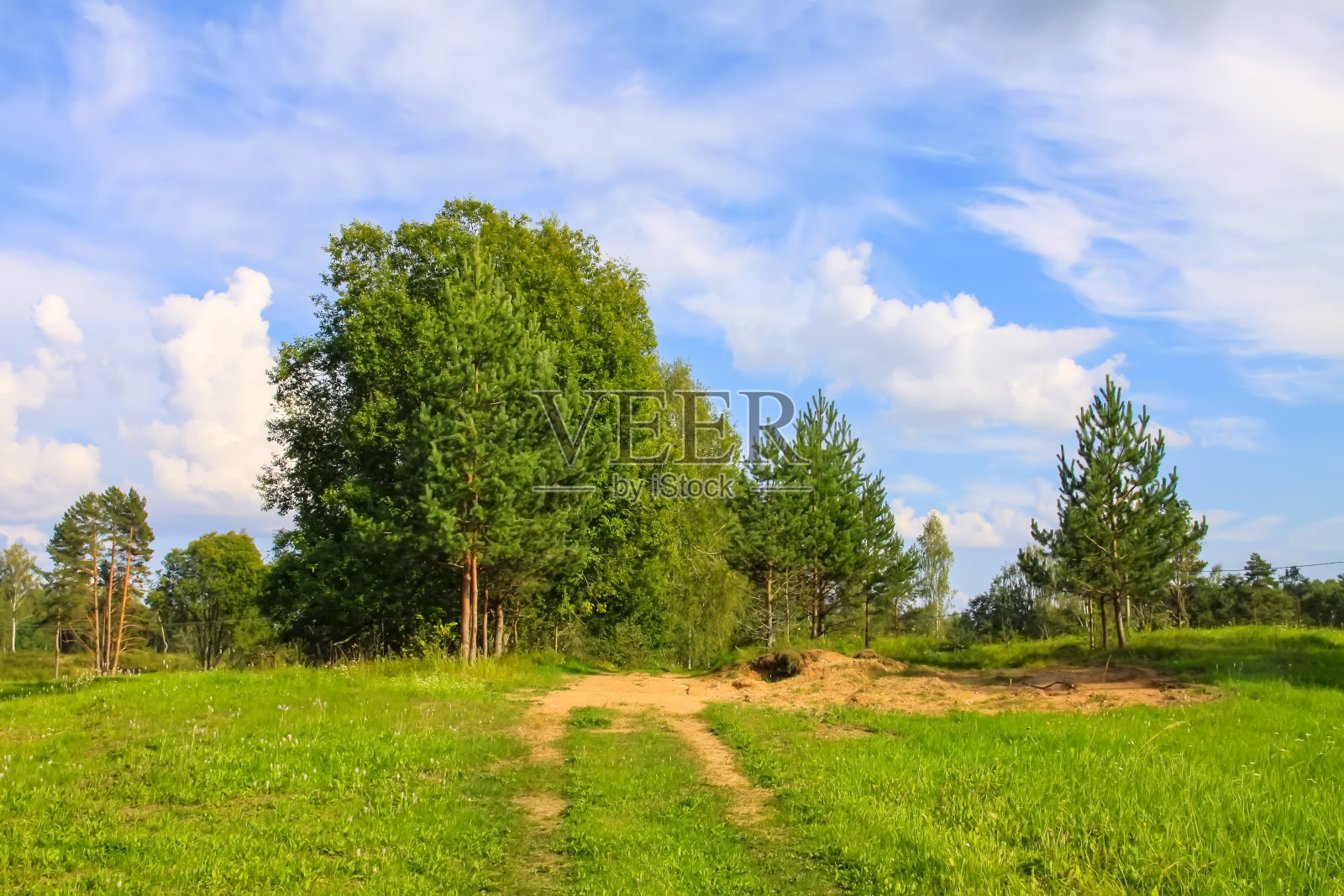 拉脱维亚的乡村景观，绿色的田野和蓝天。照片摄影图片
