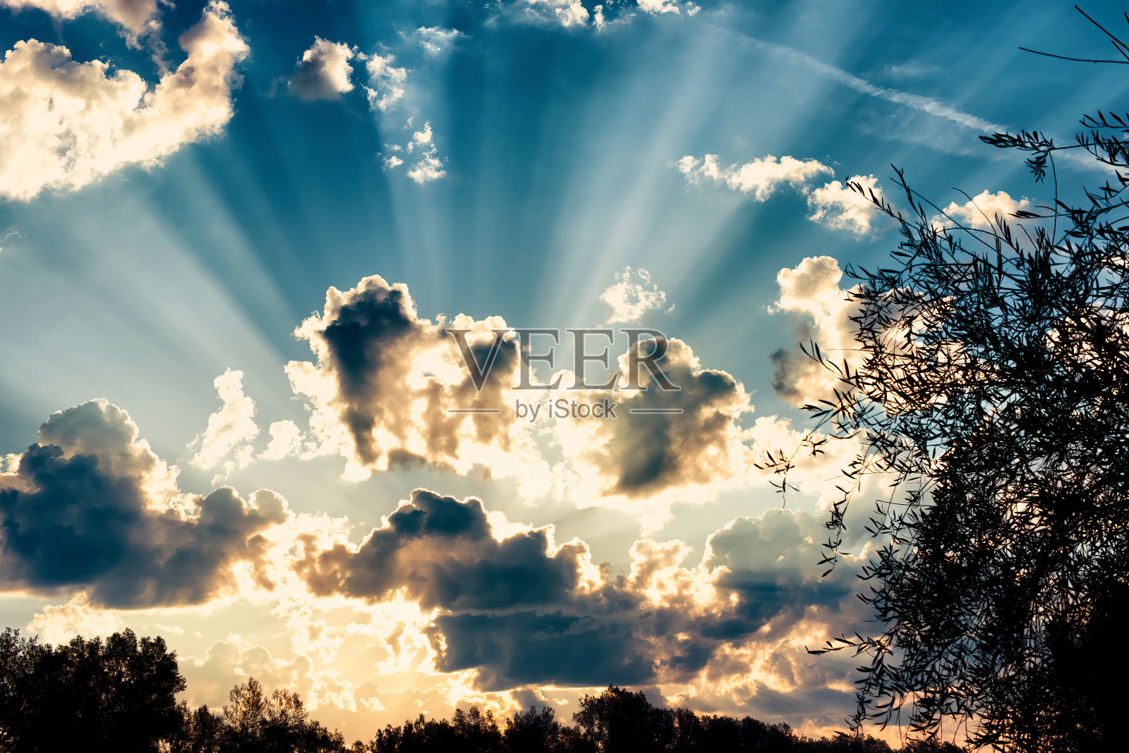 明亮的日落。照片摄影图片