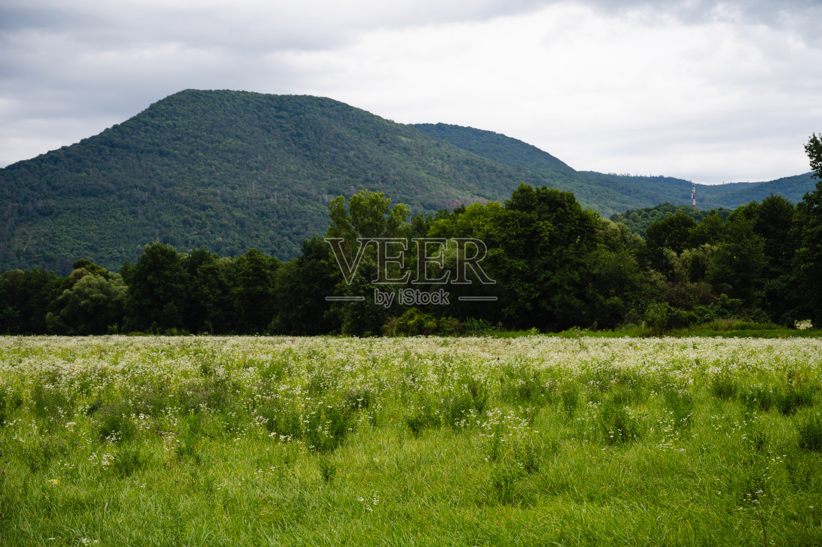斯洛伐克草地照片摄影图片