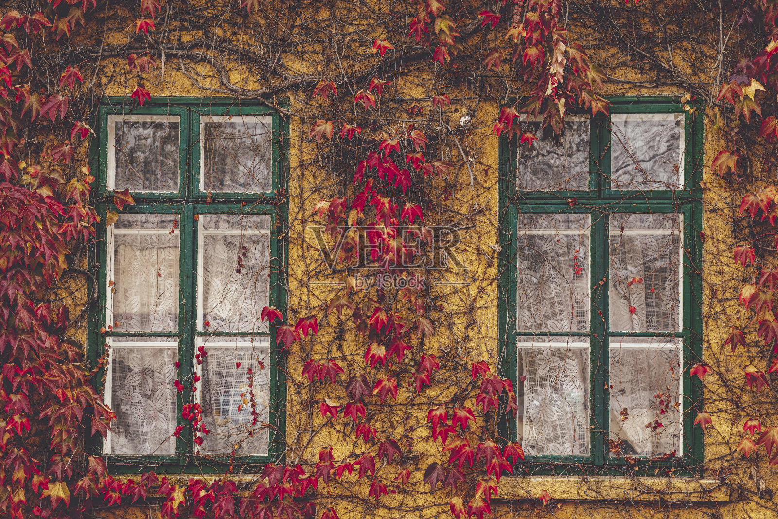 秋天的心情照片摄影图片