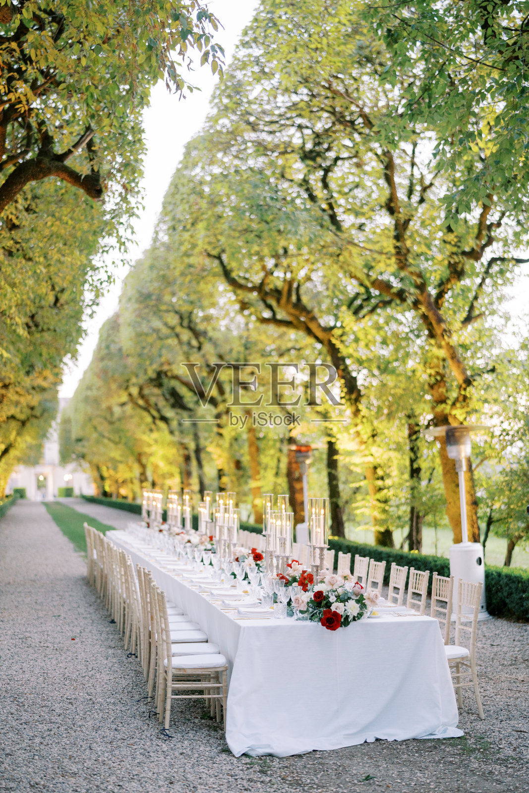 在绿色的公园里，长长的节日餐桌上摆满了花束和点燃的蜡烛照片摄影图片