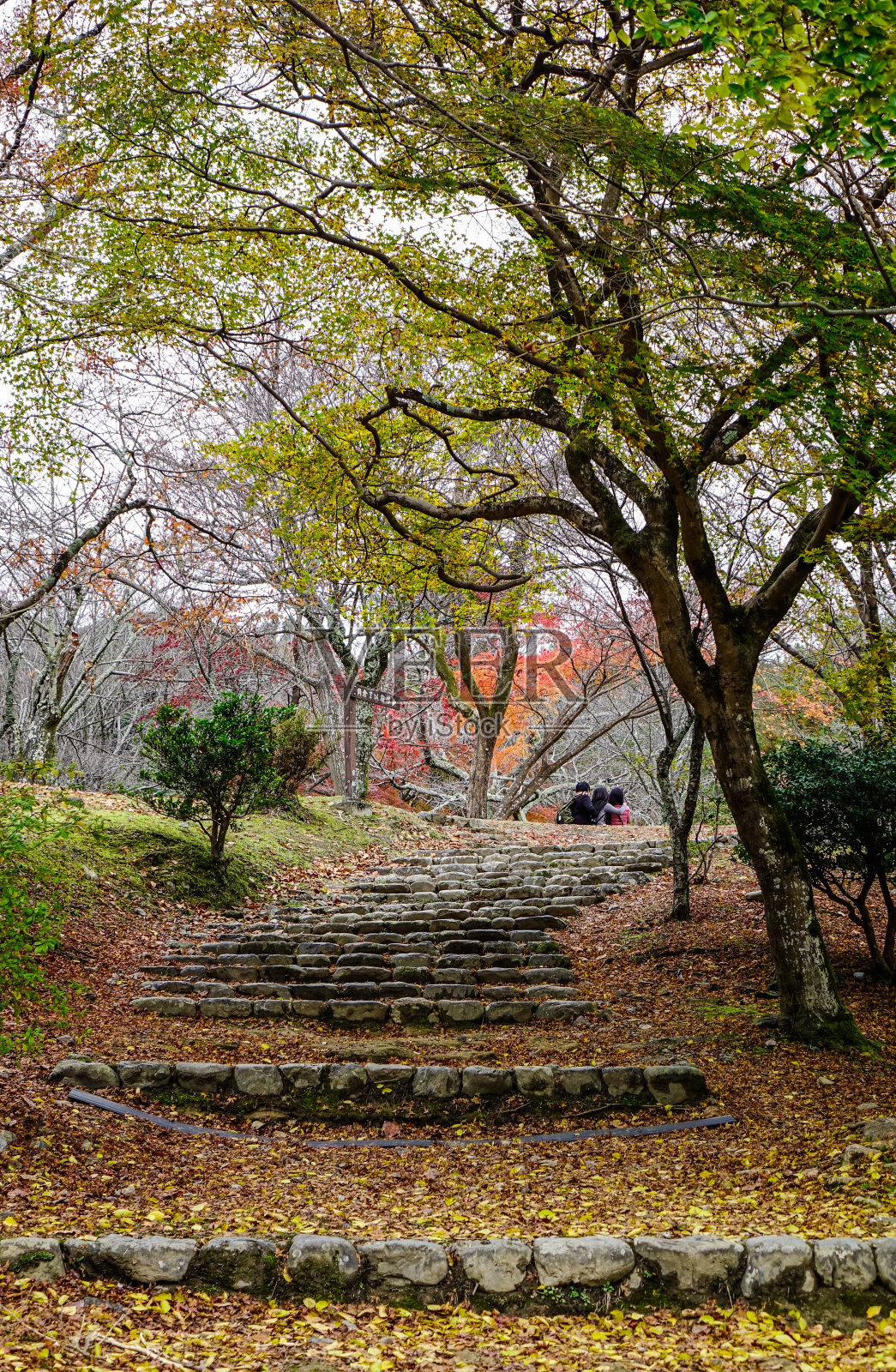 日本京都的秋景照片摄影图片