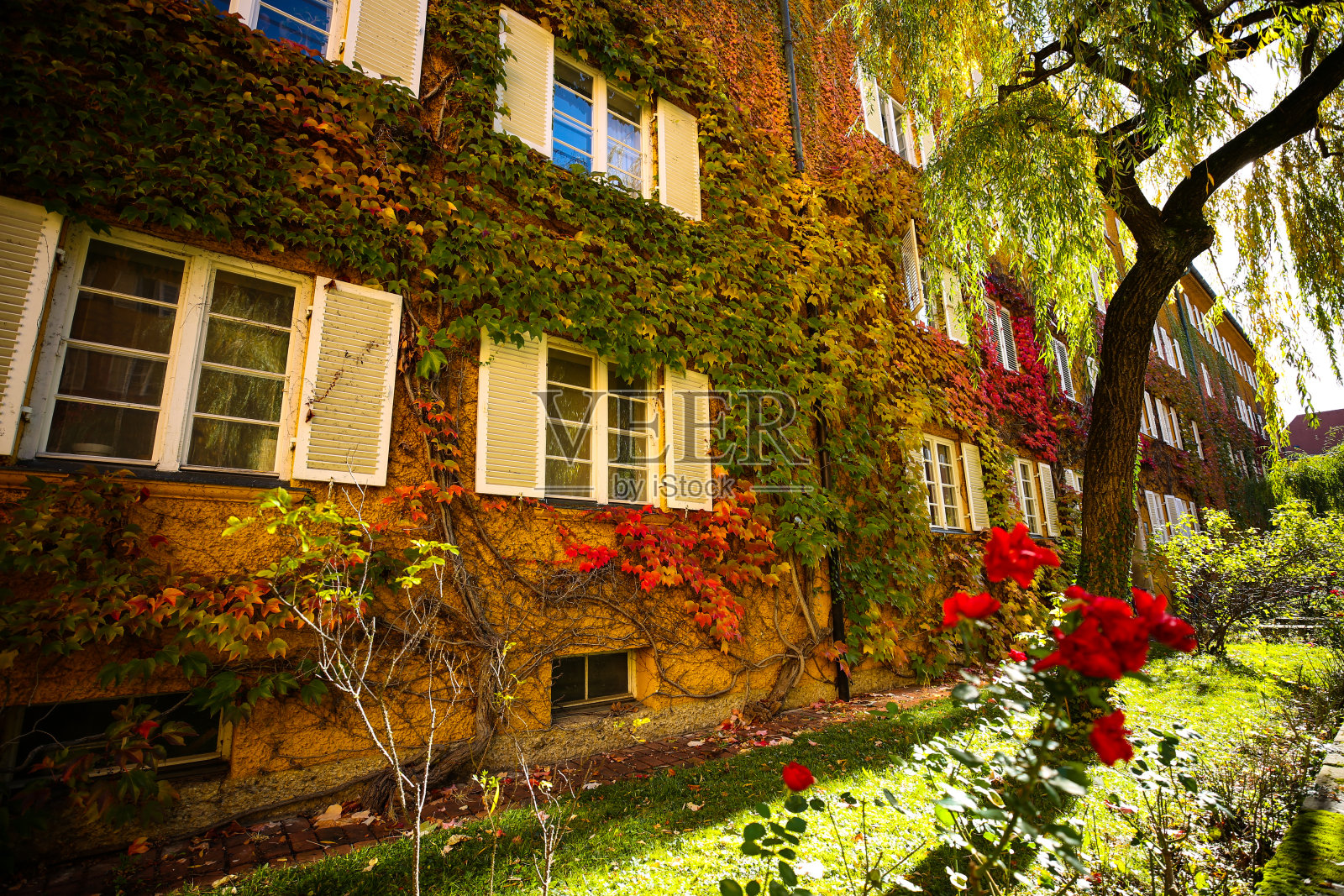 Borstei是慕尼黑Moosach区的一个列入名单的住宅区，由建筑师和建筑承包商Bernhard Borst于1924年至1929年间建造，住宅建筑带有藤叶，Borstei在秋天，秋天的心情在Borstei照片摄影图片