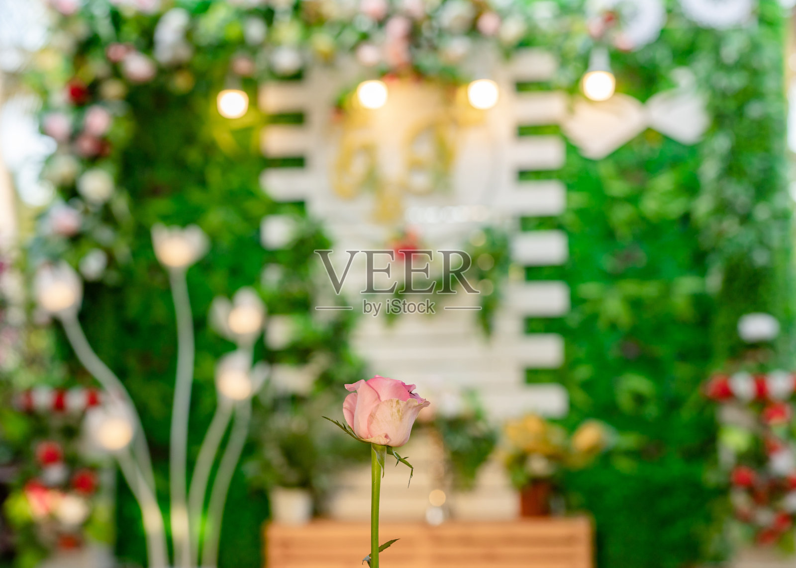 婚礼背景上的玫瑰，婚礼在越南照片摄影图片