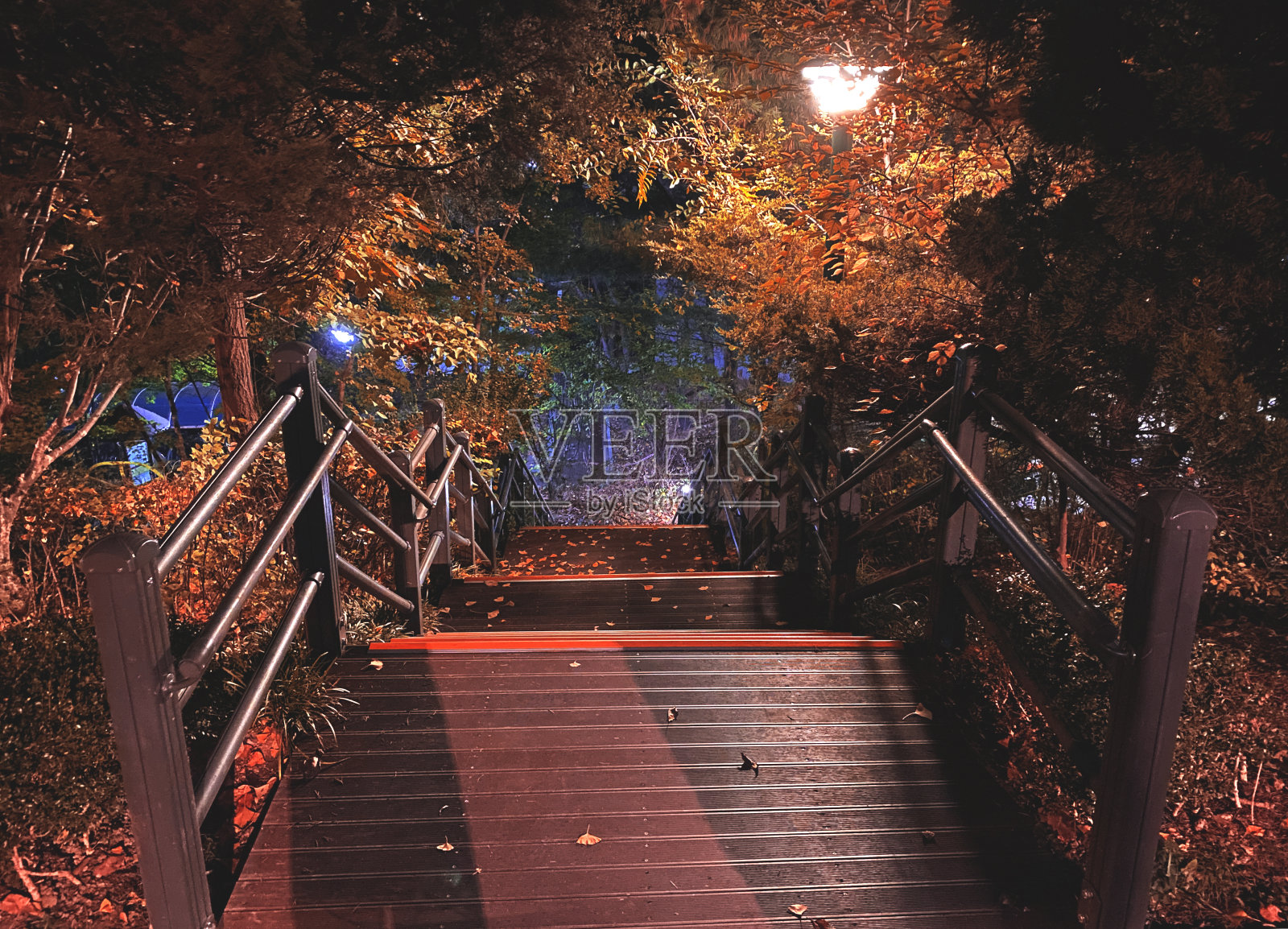 小桥上有秋叶照片摄影图片