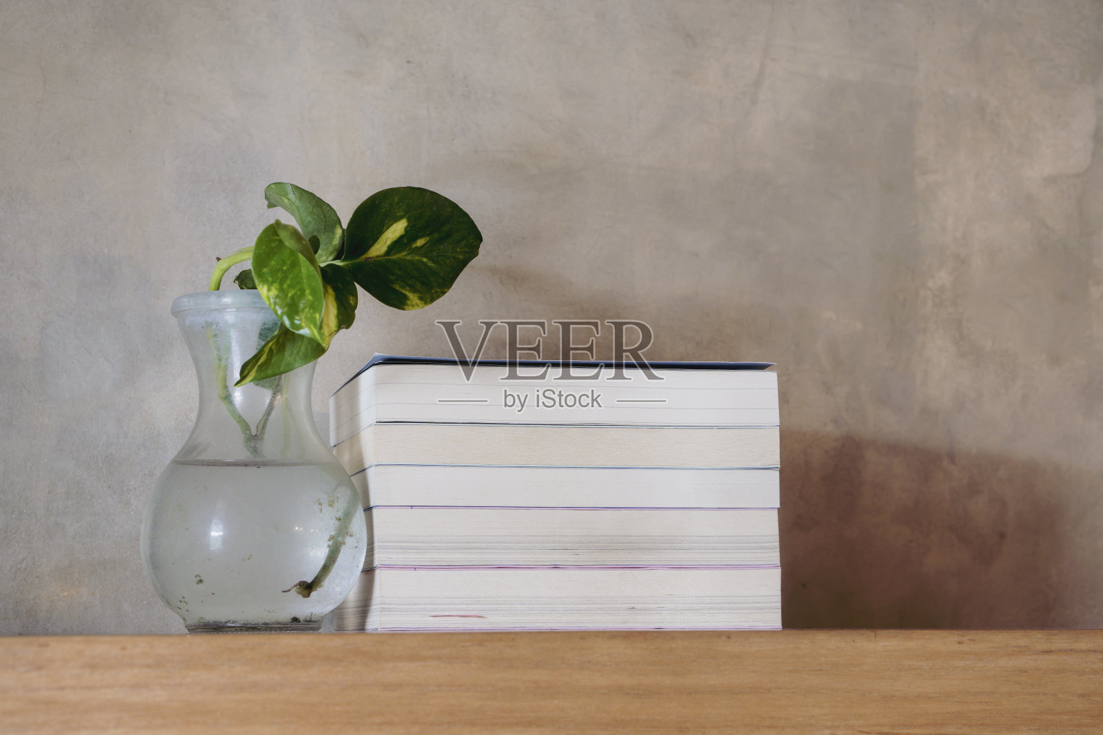 浮木书架上的书堆。教育与知识观念。一堆书要读。房屋内部装饰照片摄影图片