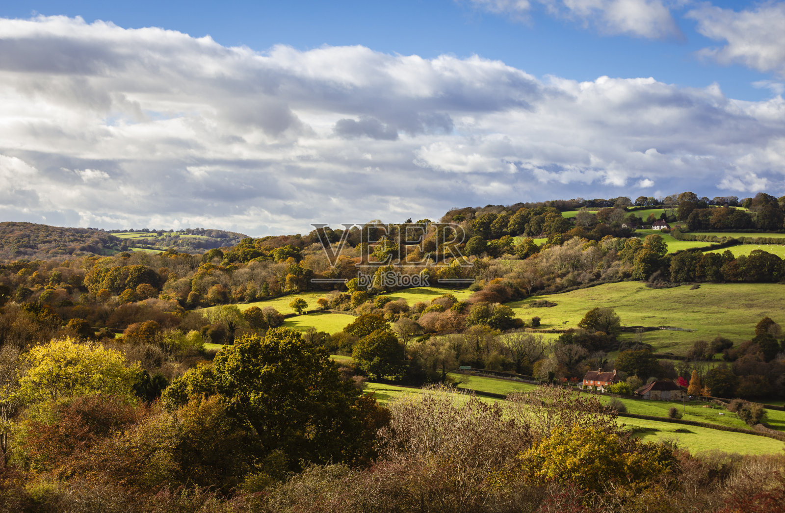 秋高气爽的原野照片摄影图片